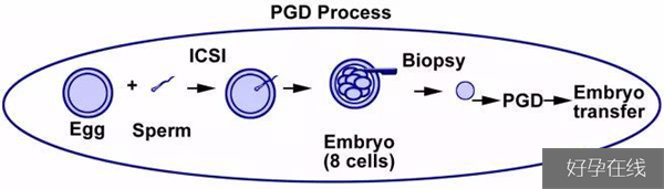 PGD技术操作方式