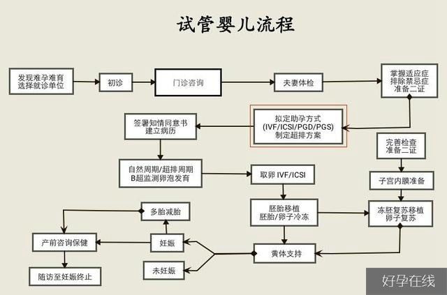 一胎试管二胎试管流程