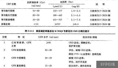 血尿素氮|血肌酐正常值,反应肾功能主要方式