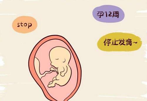 子宫内膜息肉做赠卵试管前怎么处理